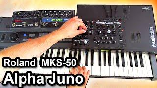 ROLAND Alpha Juno / MKS-50 - Relaxing ambient piano music 【SYNTH DEMO】