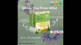 Farm Organic Gluten Free Proso Millet