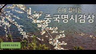 중국명시감상(제4강), 왕유(王維)의 위성곡(渭城曲),  힐링, 치유, 한시, 한시감상, 당시, 중국시, 명시감상, 시, 이별시, 위성곡,