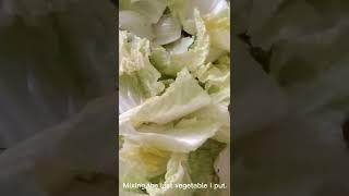 vlog # 23 ... mix veg.