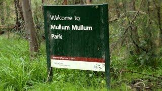 Mullum Mullum Park walk