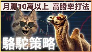 95%勝率！連續一百次交易得860%收益，投資之神不告訴世人的「駱駝形態」