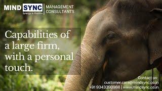 We are Mind Sync- Legal and Management Consultants