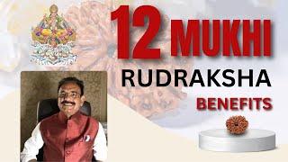 12 Mukhi Rudraksha Benefits 12 Mukhi Rudraksha Benefits Vedic Astrology Must Watch!