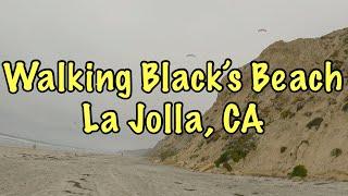 Walking Black’s Beach - La Jolla, CA  ft. Paragliders