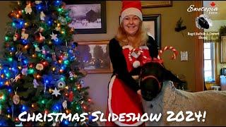 A Christmas Celebration with Ewetopia Farms | Sheep Farming Christmas Slideshow 2024