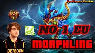 BetBoom.Nightfall Morphling Facets Ebb No Wonder He's Ranked 1 - Dota2 Pro Tracker #betboom