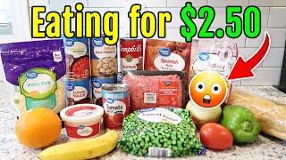 EASY Emergency 2-Week Budget from Walmart! (family dinners)