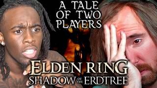 Outrage Over Shadow of Erdtree DLC: The Truth