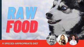 Raw Food For Dogs: A Species-Appropriate Diet