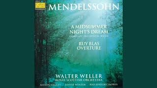 Incidental Music to "A Midsummer Night's Dream", Op.61: I. Overture Op.21