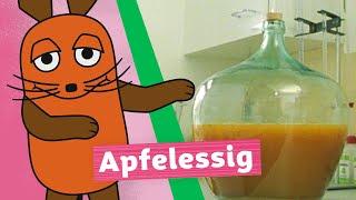 Wie wird Apfelessig hergestellt? | Die Maus | WDR