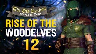 THE DESVASTATING MAGIC ARROWS! The Old Realms Warhammer Mod - Mount & Blade II: Bannerlord #12