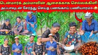 செல்லக்கிளி அப்பாவை அம்மா பேச காரணம் என்ன|jaffna |VKJT VLOG