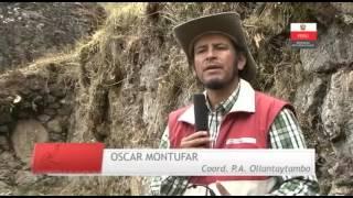 IMPONENTE COLCA EN OLLANTAYTAMBO