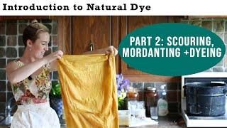 Natural Dye Basics part 2: scouring, mordanting & dyeing wool yarn | Last Minute Laura