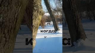 #монтажвидео #монтаж #монтажер