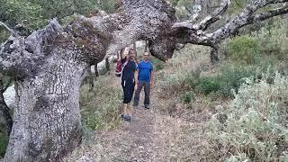 Sierra de lijar (la muela los nacimientos )