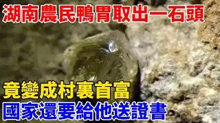 湖南農民從鴨胃取出一石頭，竟變成村裏首富，國家還要給他送證書【奇遇天下】 #鑒寶 #考古 #考古發現 #小閆打鐵鐲