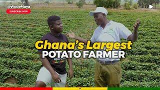Why Ghana's Largest Potato Exporter Can't Export  Within Africa?