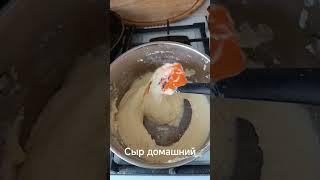 Сыр домашний за 30 мин#дачныедела #кулинария