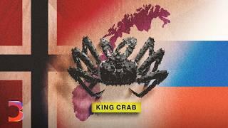 How Russia's War Made King Crab Big Business in Norway