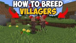 Minecraft How To Breed Villagers 1.21