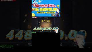 슬기로운카지노 카메오 상어 릴렉스 넷게인즈 500배! #슬롯머신 #슬롯 #프라그마틱 #잭팟 #slot #pragmatic