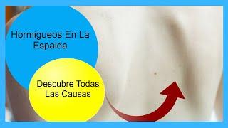 Hormigueos En La Espalda 【 Descubre Todas Las Causas De La Parestesia En La Espalda】