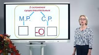 4 класс. Русский язык.  Имя существительное