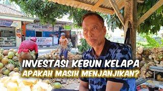 Investasi Kebun Kelapa Apakah Masih Prospek Kedepannya