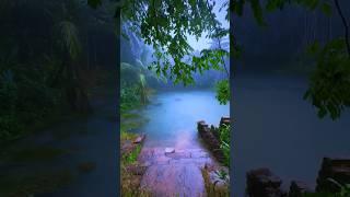 Rain in Temple Pond  #calm #malayalam #villagelife #keralamansoon