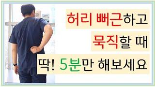 허리 뻐근하게 쑤시고 아플때 이거면 끝! 통허리 탈출도 가능