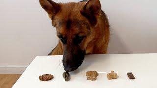 Dog Treat Showdown | German Shepherd's Verdict