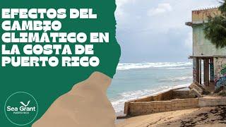 Efectos del cambio climático en la costa de Puerto Rico