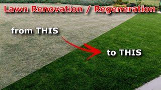 Lawn Renovation / Regeneration - Fix an Ugly Lawn with Best Result after two weeks.