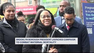 Brooklyn Borough President Reynoso announces new campaign for healthier pregnancies