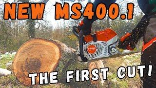 Is the New STIHL MS 400.1 Chainsaw REALLY Worth the Hype? First Test!