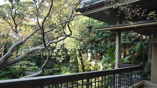 4.Japanese-style garden | Seasonal change of maple trees