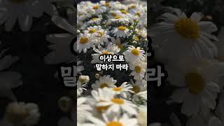 반드시 비밀로 해야 하는 5가지 #현실조언 #명언 #삶의지혜