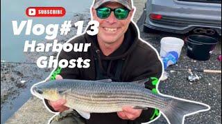 Uk MULLET FISHING-HARBOUR MADNESS-UNDER WATER 4K CAMERA-Bassmans VLOG#13-Paul Bassman