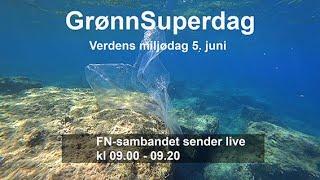 Grønn superdag