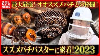 【密着】恐怖の"殺人バチ"を駆除せよ！スズメバチバスターの格闘『every.特集』