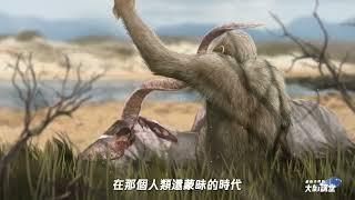【尋找未來能源】第1集 文明之光——能源的過去