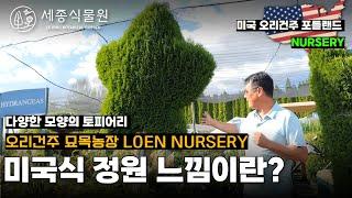 특별한 에메랄드그린 동물 토피어리가 눈을 사로잡다. LOEN NURSERY 미국의 정원 분위기를 담은 가든 센터 /세종식물원