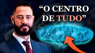 Saúde MITOCONDRIAL: A BASE da LONGEVIDADE e qualidade de VIDA!