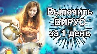 Как лечить ВИРУС гриппа  за 1 ДЕНЬ