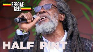 Half Pint Live @ Reggae Geel Belgium 2019