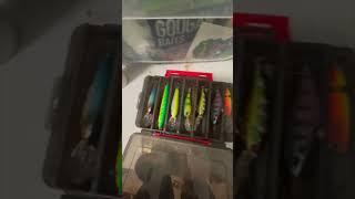 What’s In My Tackle Box?#tacklebox #fishing