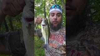 BASS FISHING #Bassmasters #Whitefluke #jiginainteasy #fishingequipment #pondhopper